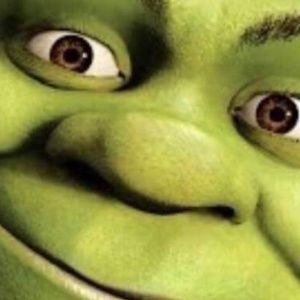 THANK YOU FOR THE SHARES & FOLLOWS! :D